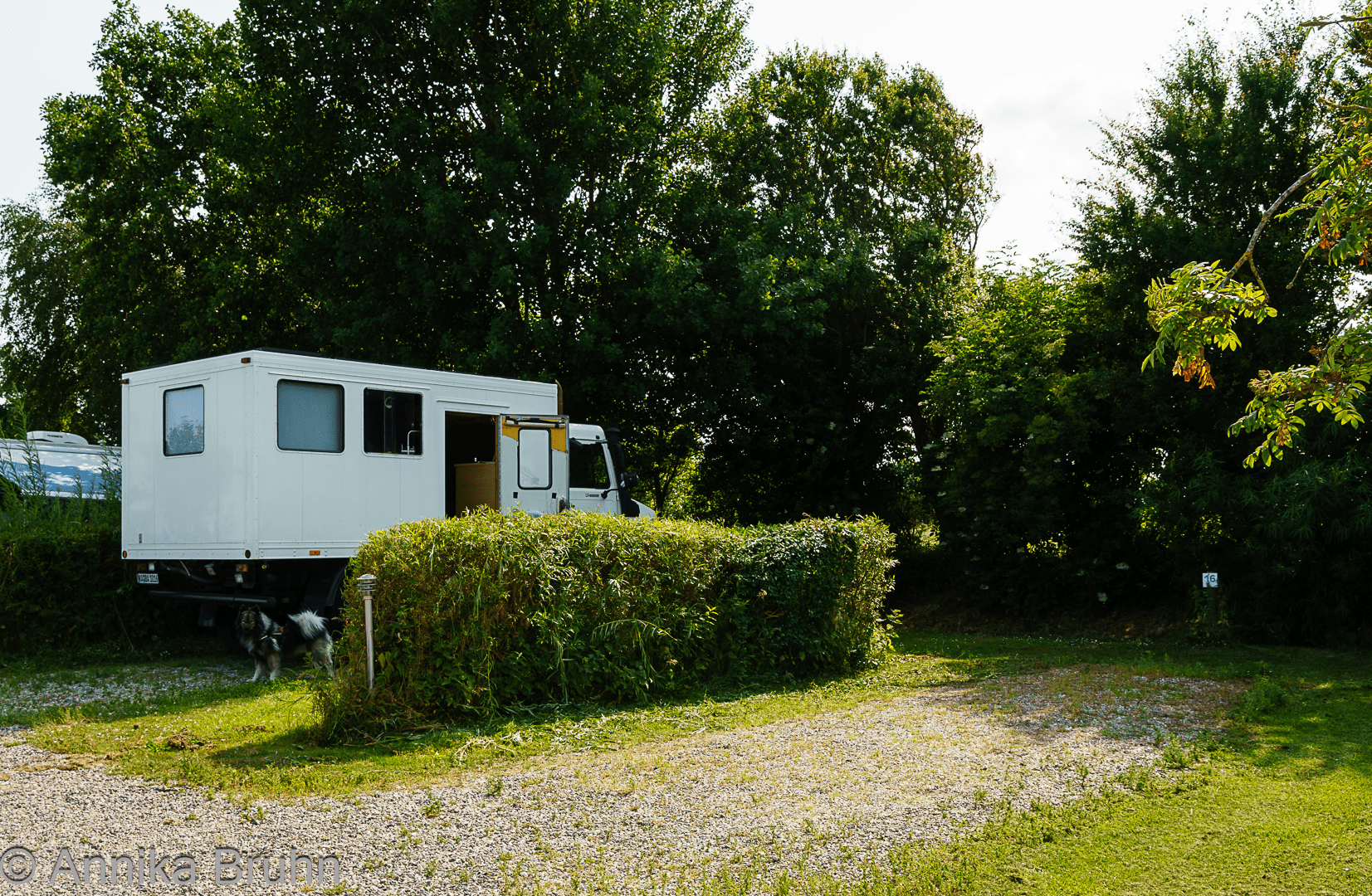 Stellplatz WoMoLand auf Nordstrand!
